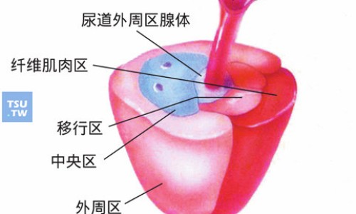 非那雄胺片功能副作用-非那雄胺片功效网 - 非那雄胺片功效,非那雄胺片功效与作用